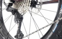 Kona Wo (2023) -Pyoravarikko 131796