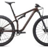 Specialized Epic Evo (2022)