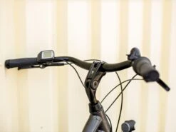 Trek District+ 1 Midstep (2023) -Pyoravarikko DistrictPlus1Midstep 21 33480 A Alt4