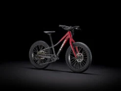 Trek Roscoe 20 (2023) -Pyoravarikko Roscoe20 21 33490 C Portrait