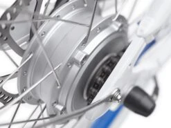 Electra Shibori Cruiser Go! (2023) -Pyoravarikko ShiboriCruiserGoStepThru 22 35211 A Alt3