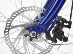 Electra Shibori Cruiser Go! (2023) -Pyoravarikko ShiboriCruiserGoStepThru 22 35211 A Alt6