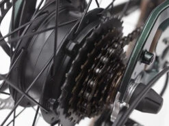 Electra Townie Go! 7D EQ Step-Over (2023) 20 Electra Townie Go! 7D EQ Step-Over (2023) -Pyoravarikko TownieGo7DEQStepOver 22 35274 B Alt4