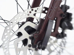 Electra Townie Path Go! 10D EQ Step-Over (2022-2023) -Pyoravarikko TowniePathGoStepOverEU 20 26949 C Alt3