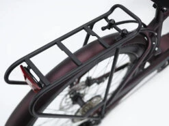 Electra Townie Path Go! 10D EQ Step-Over (2022-2023) -Pyoravarikko TowniePathGoStepOverEU 20 26949 C Alt6