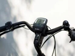 Trek Verve+ 2 (2022) -Pyoravarikko VervePlus2 20 29190 A Alt4