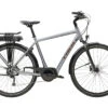 Trek Verve+ 1 (2023)