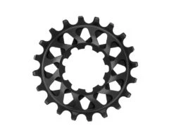 AbsoluteBLACK Single Speed Ratas 20T