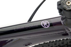 Kona Lava Dome (2022) -Pyoravarikko unnamed 691cb829 713c 4acb 871d 8d9ec80c4034