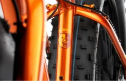 Kona Wo (2022) 18 Kona Wo (2022) -Pyoravarikko unnamed a9713d94 1d7f 4667 bb68 3e05c9fd034c